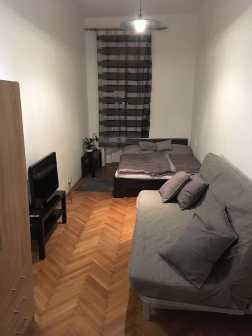 Utulne Ubytovani U Centra V Blizkosti Vystaviste Brno Eksteriør billede